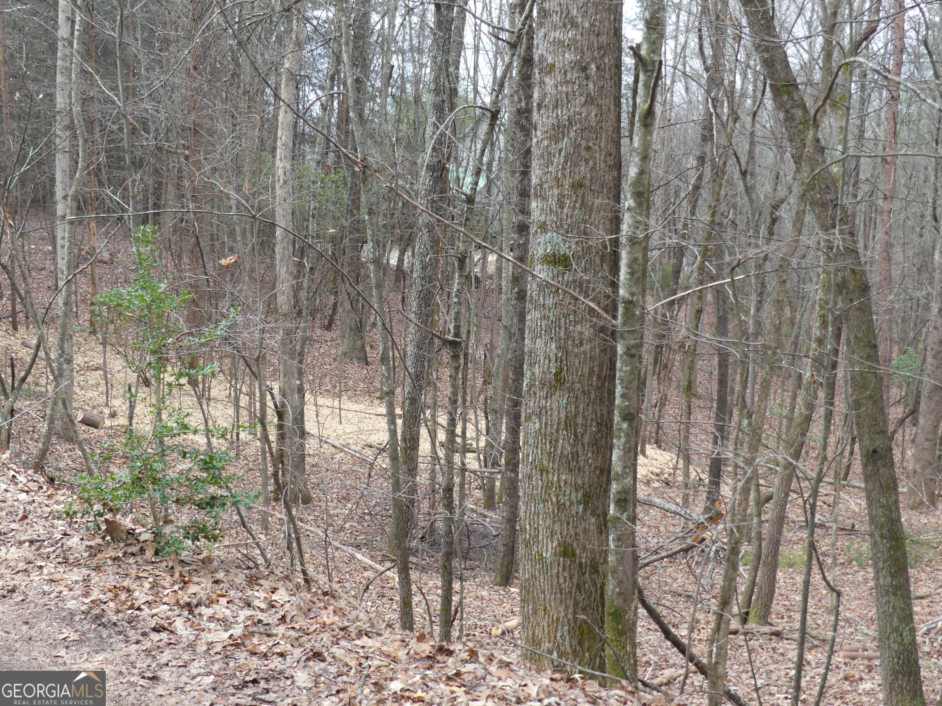 807 Satterfield Road Cleveland GA 30528