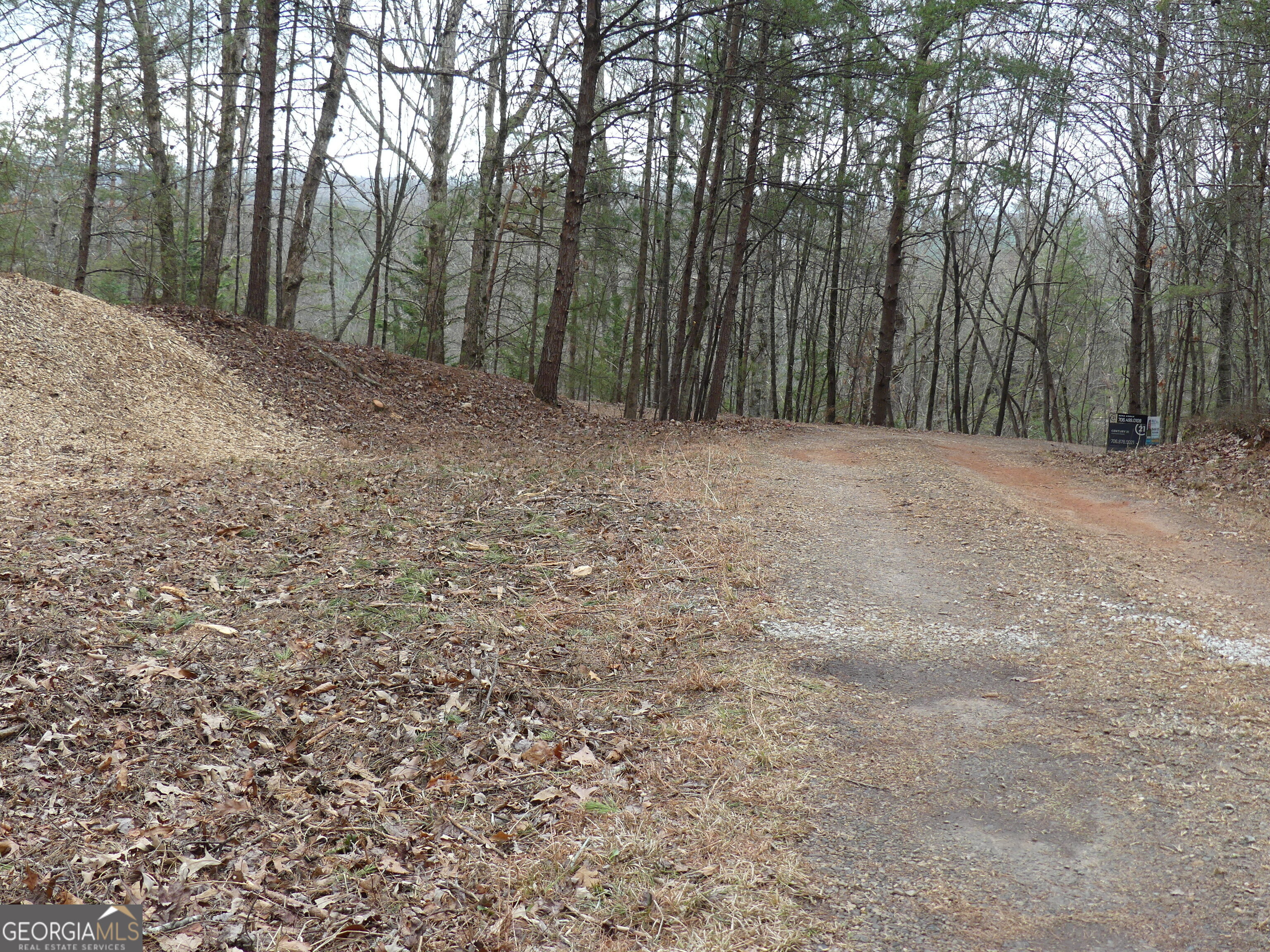 807 Satterfield Road Cleveland GA 30528