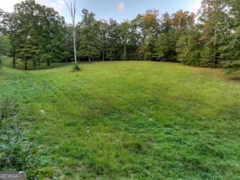 552 Dalrymple Circle Ellijay GA 30540
