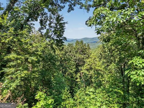 931 Timber Bluff Drive Clayton GA 30525