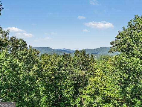 931 Timber Bluff Drive Clayton GA 30525