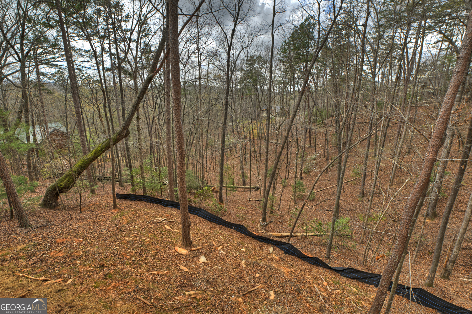 962 Maggie Chapman Road Cherry Log GA 30522