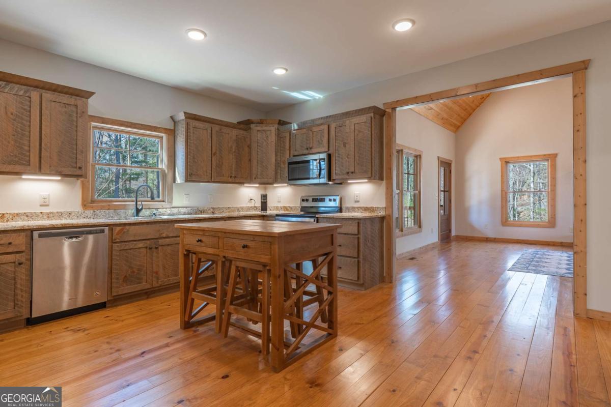 3171 Newport Drive Ellijay GA 30540