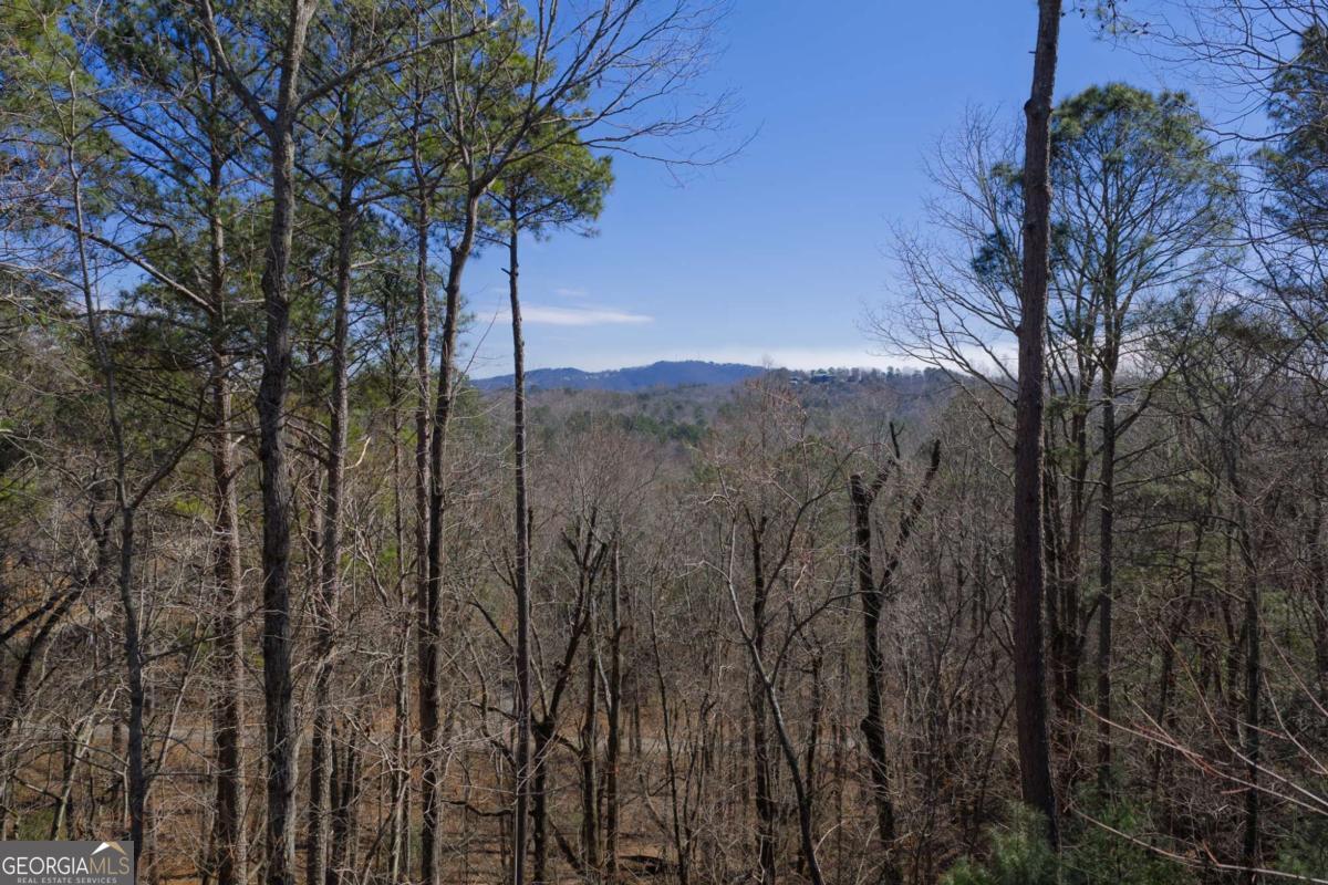 3171 Newport Drive Ellijay GA 30540
