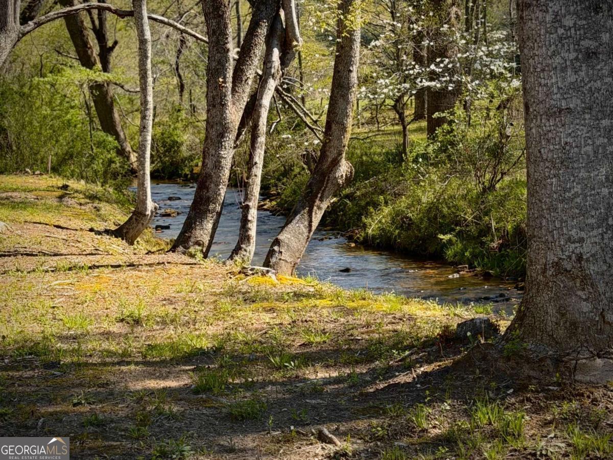 33 Pigeon Creek Drive Blue Ridge GA 30513