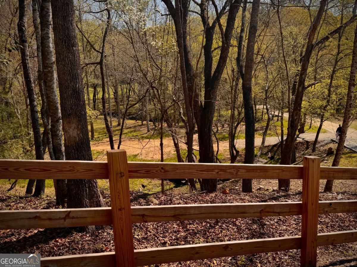 33 Pigeon Creek Drive Blue Ridge GA 30513