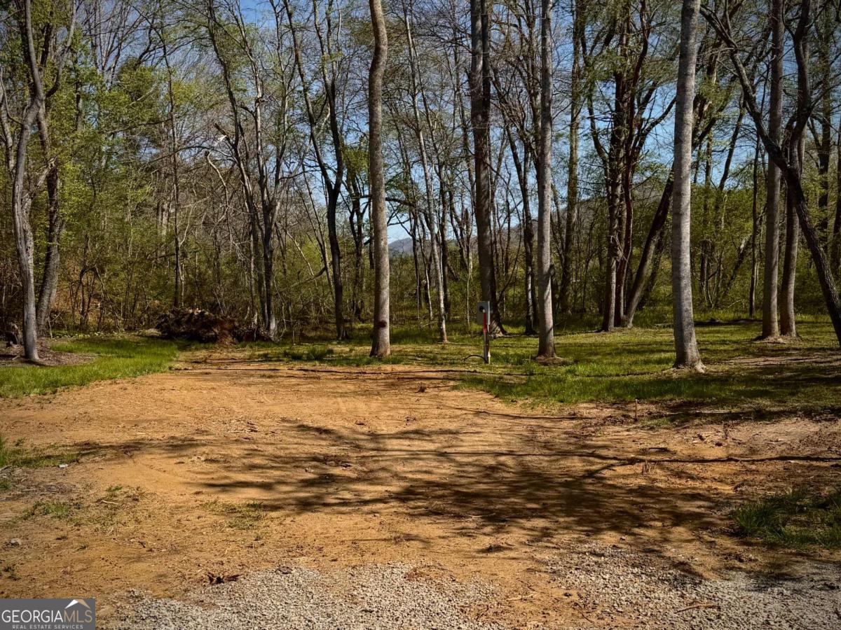 33 Pigeon Creek Drive Blue Ridge GA 30513