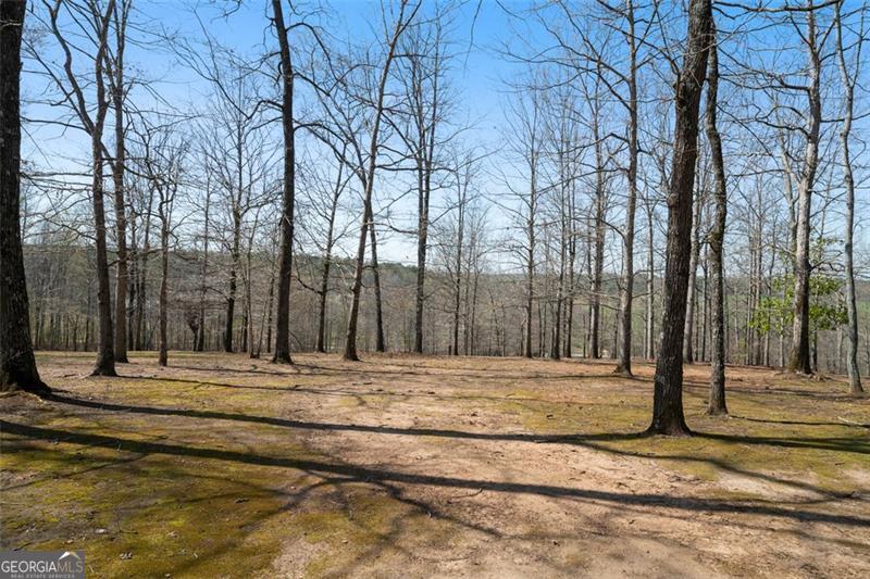 680 Milligan Creek Road Roopville GA 30170