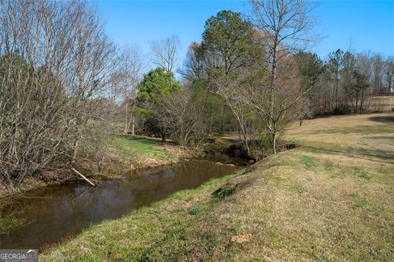 680 Milligan Creek Road Roopville GA 30170