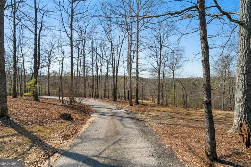 680 Milligan Creek Road Roopville GA 30170