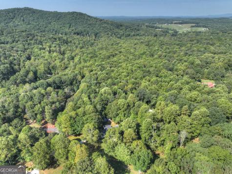 46 White Oak Drive Talking Rock GA 30175