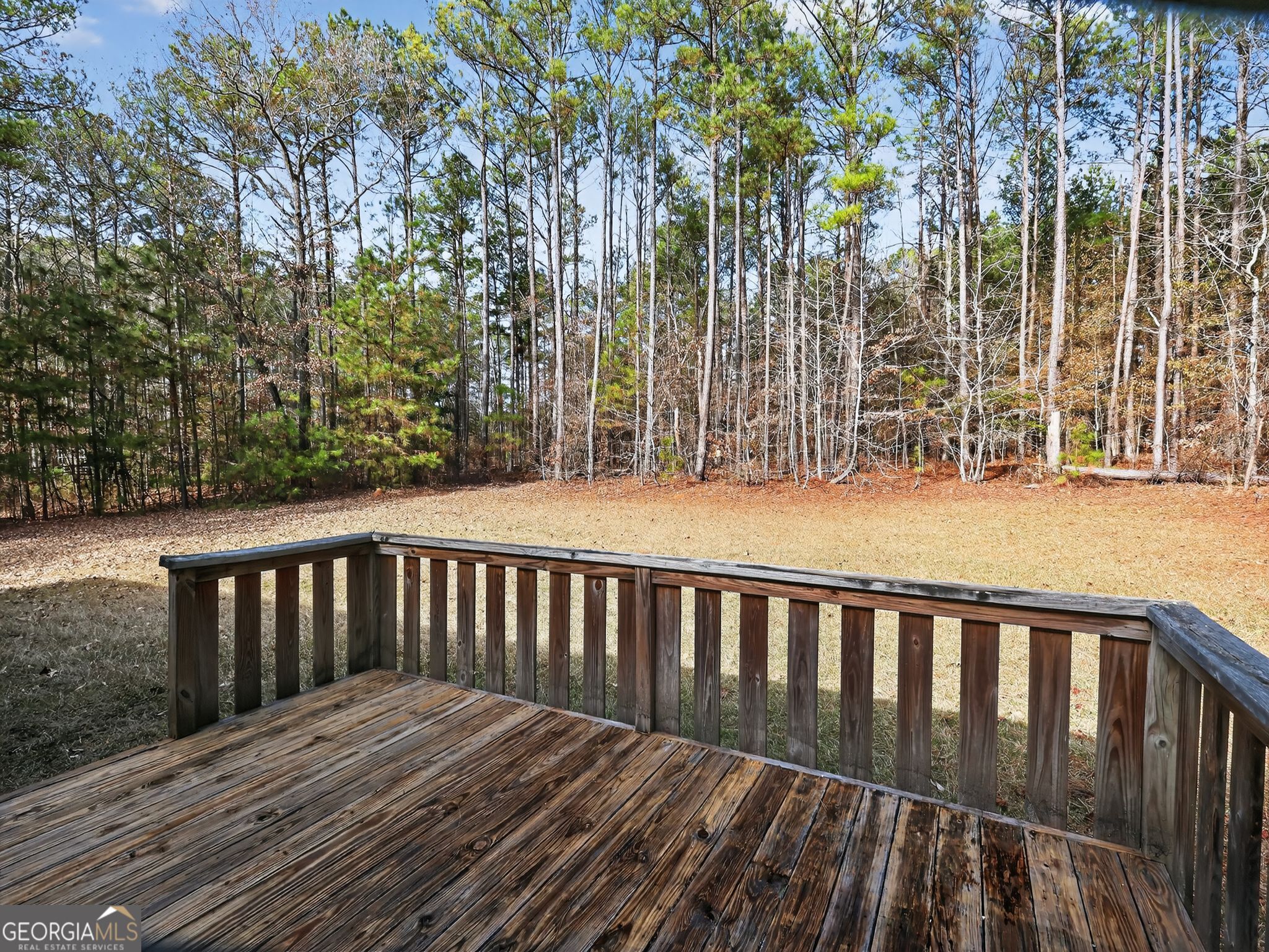 766 Drew Allen Road Williamson GA 30292