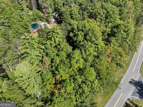 25 Foster Lane Morganton GA 30560