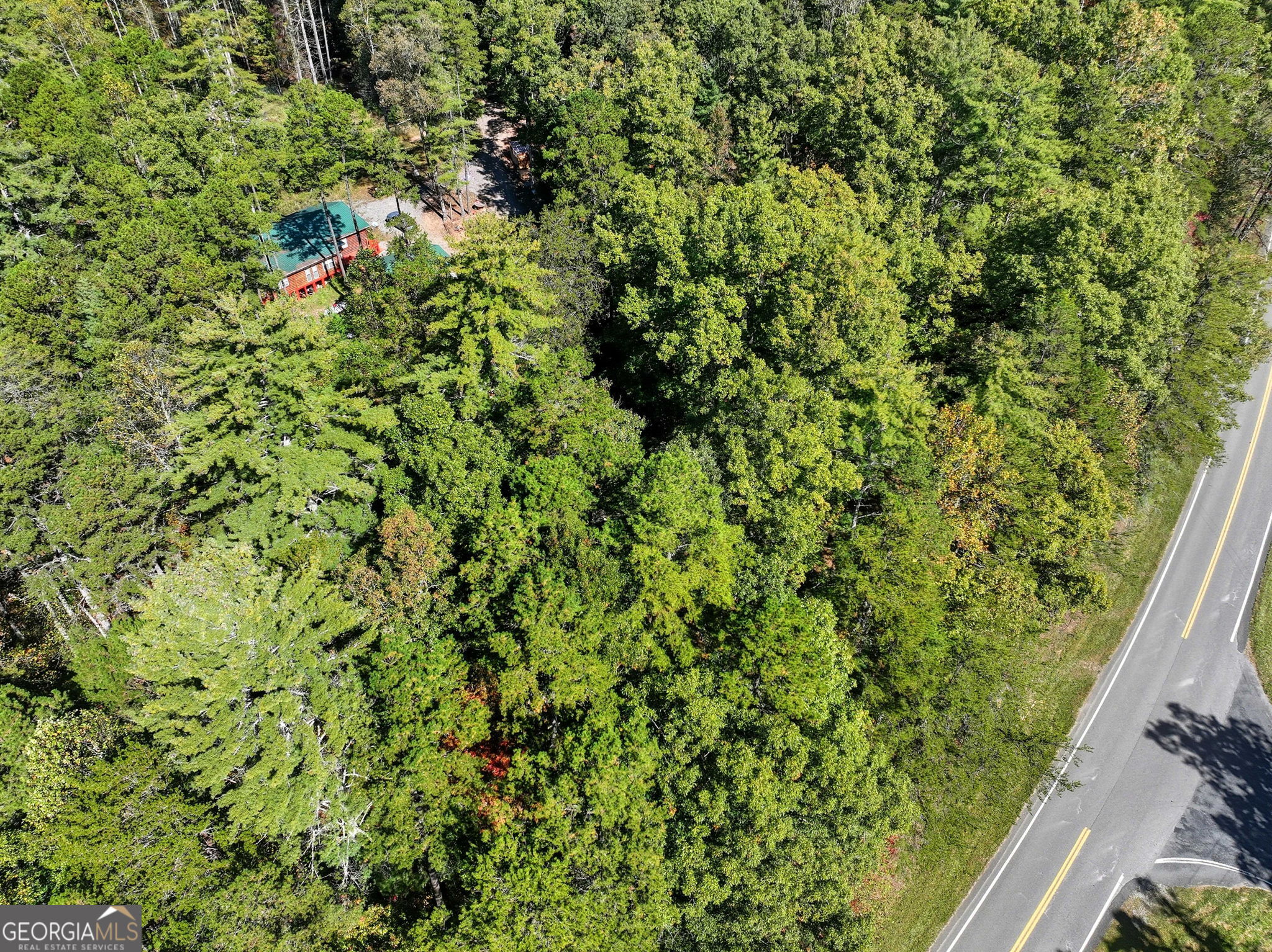 25 Foster Lane Morganton GA 30560
