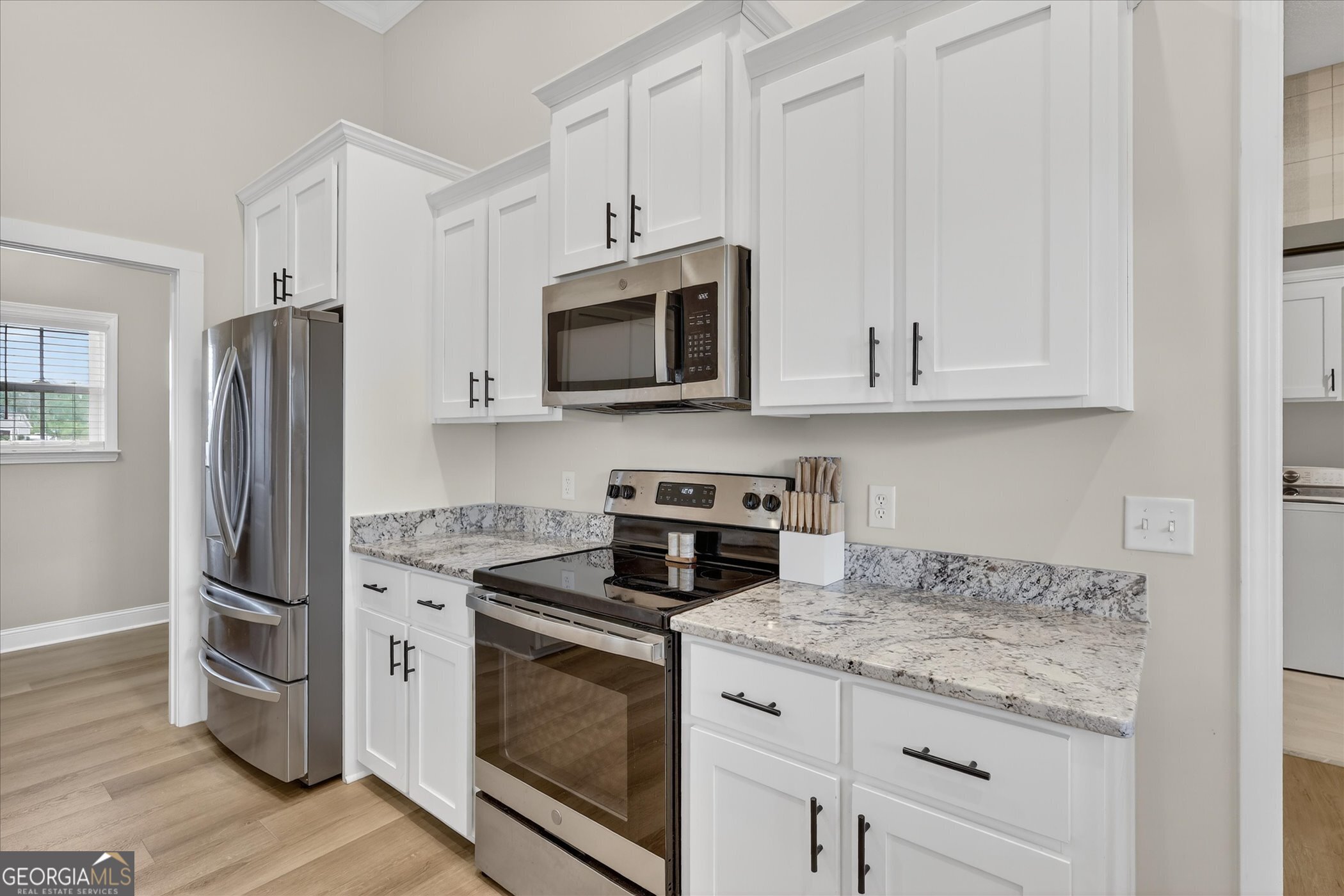 320 Firethorne Drive Brooklet GA 30415