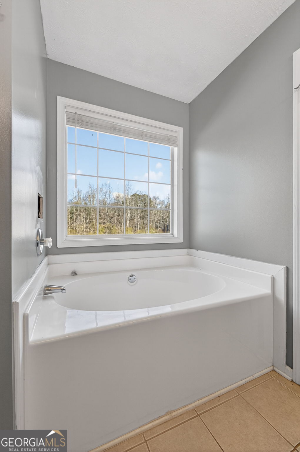 173 Michael Lane Mcdonough GA 30252