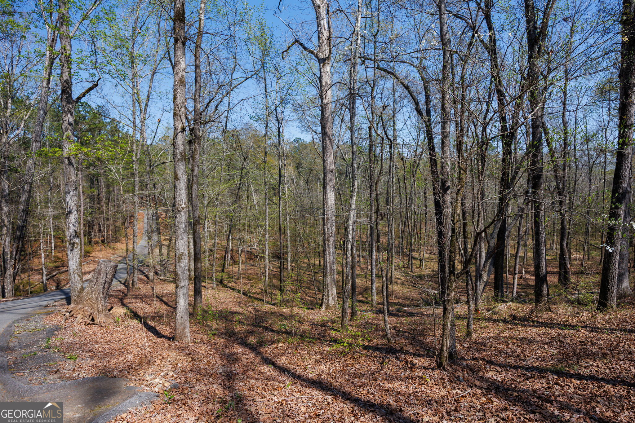 131 Woods Road Forsyth GA 31029