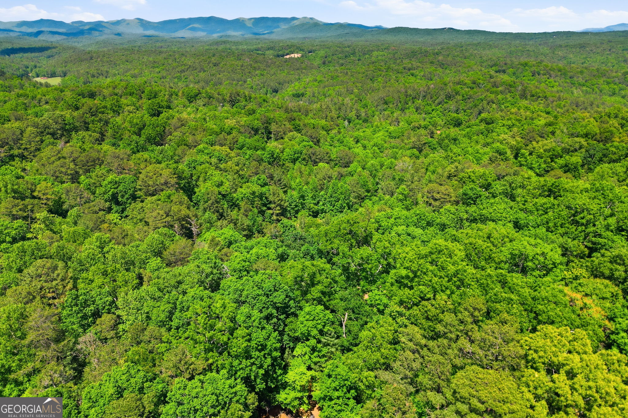 728 Pleasant Gap Road Ellijay GA 30540