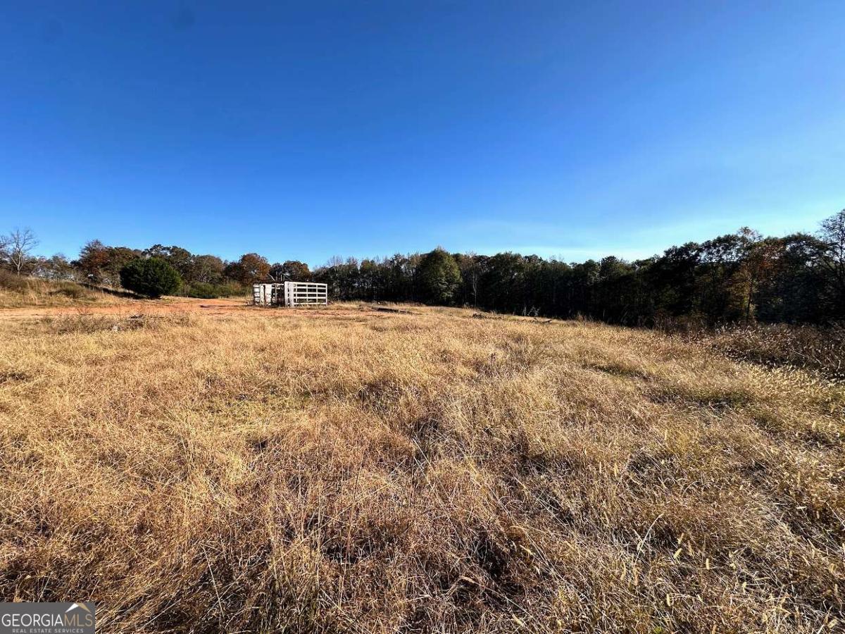 2140 W Highway 166 Bowdon GA 30108