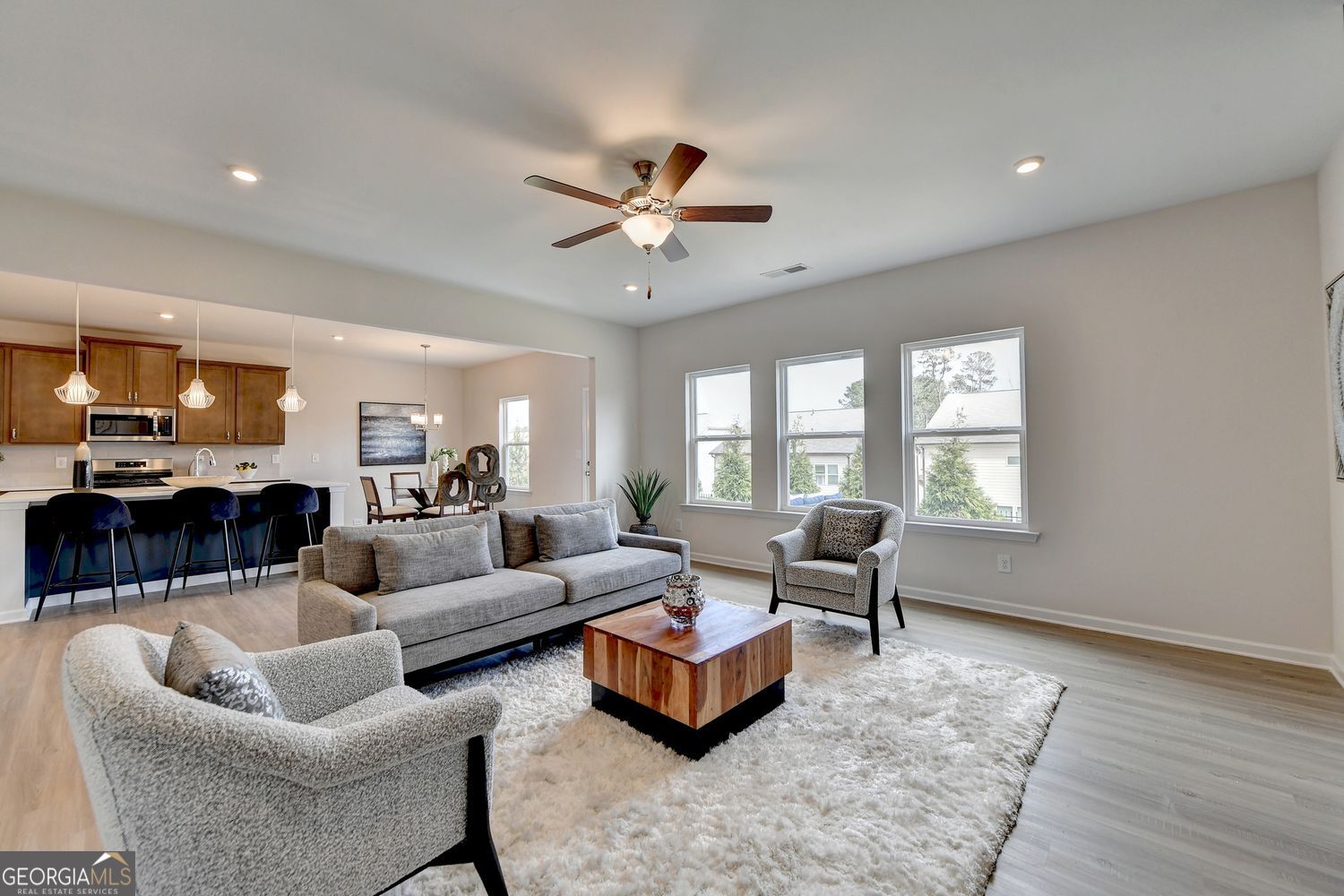 243 Province Park Drive Holly Springs GA 30115