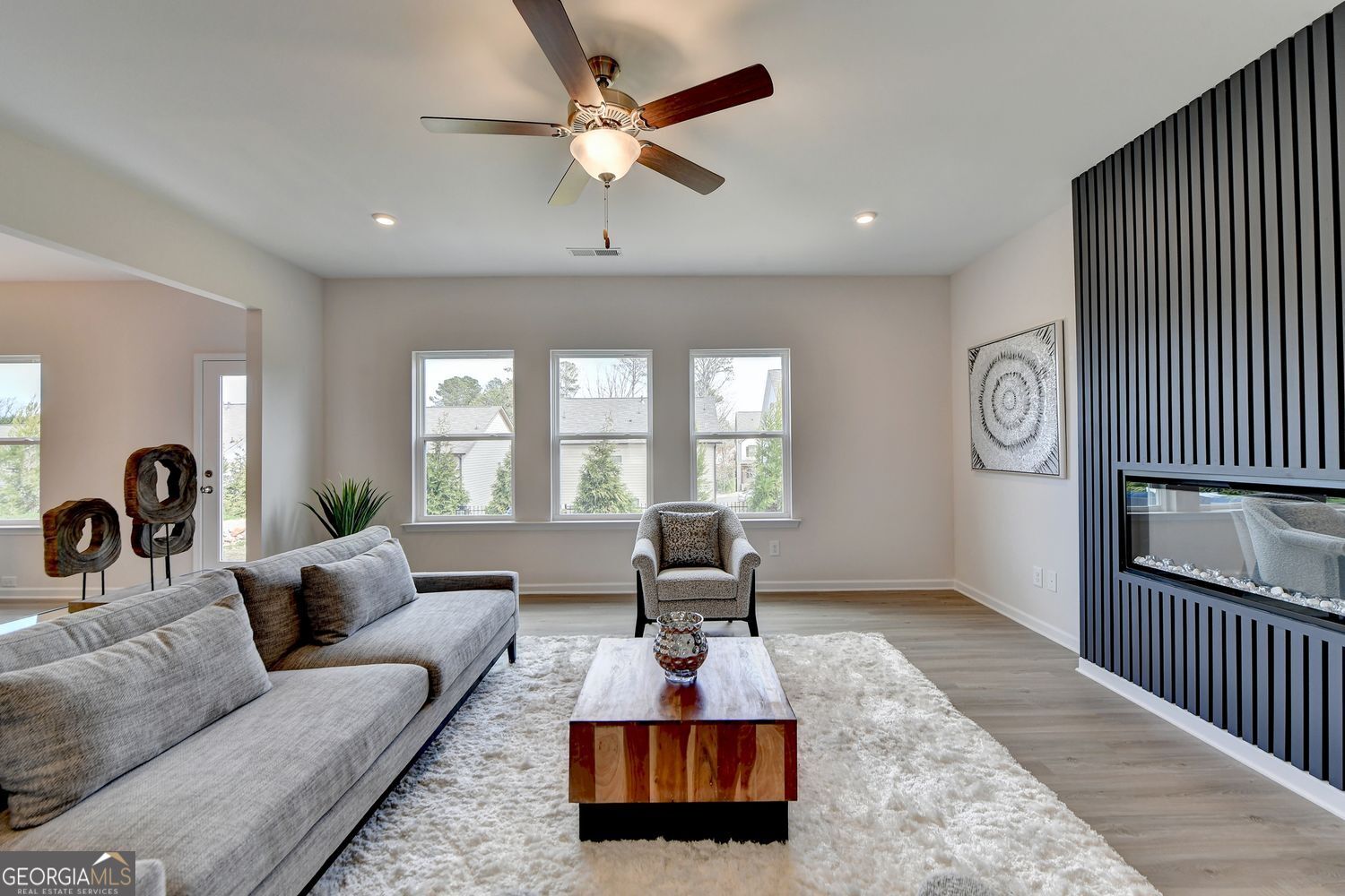 243 Province Park Drive Holly Springs GA 30115