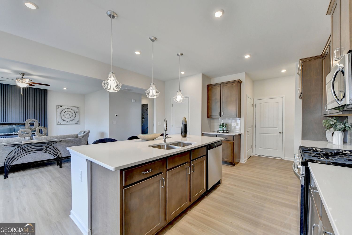 243 Province Park Drive Holly Springs GA 30115