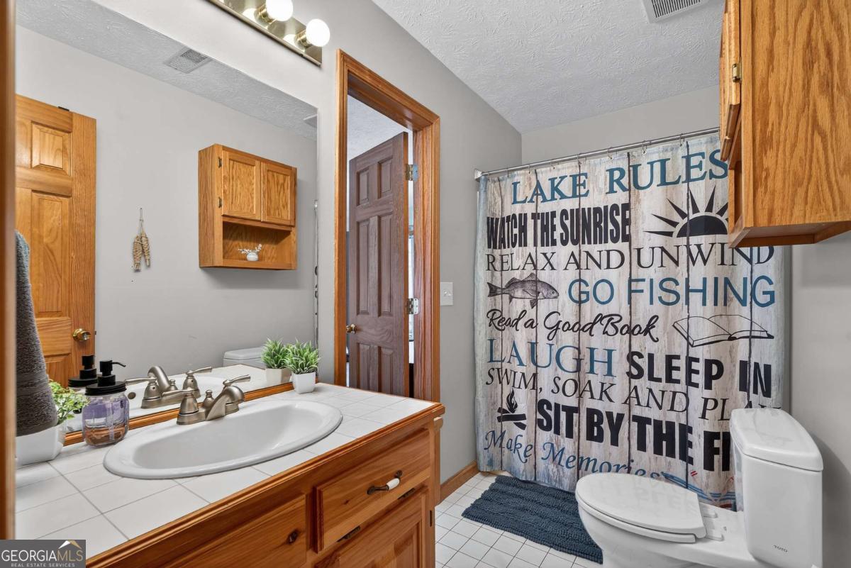 271 Zane Drive Ellijay GA 30540