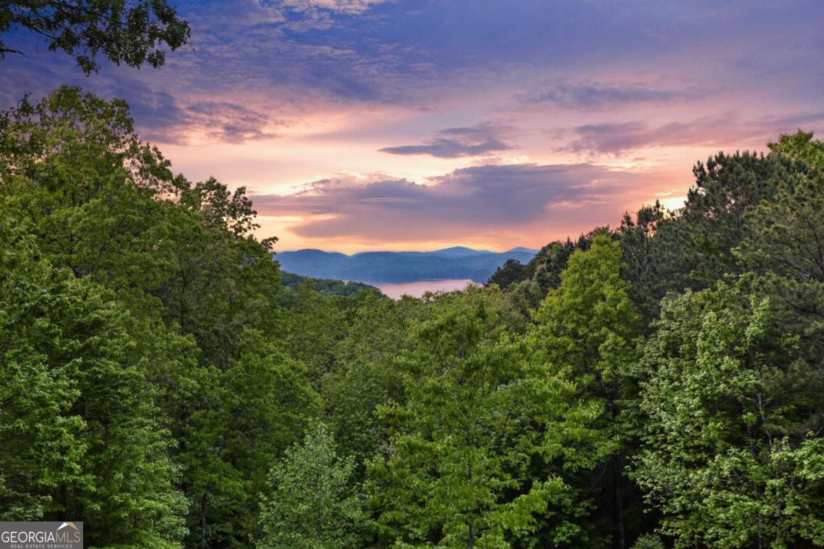 271 Zane Drive Ellijay GA 30540