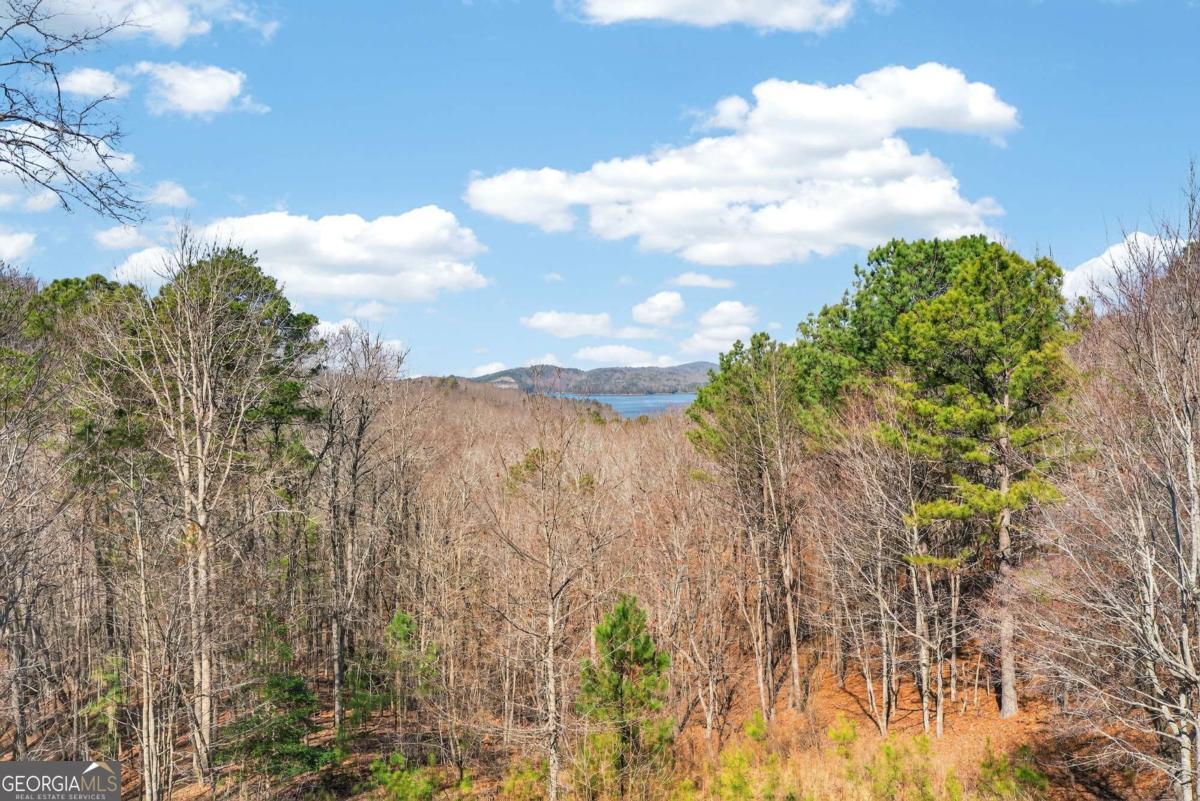 271 Zane Drive Ellijay GA 30540