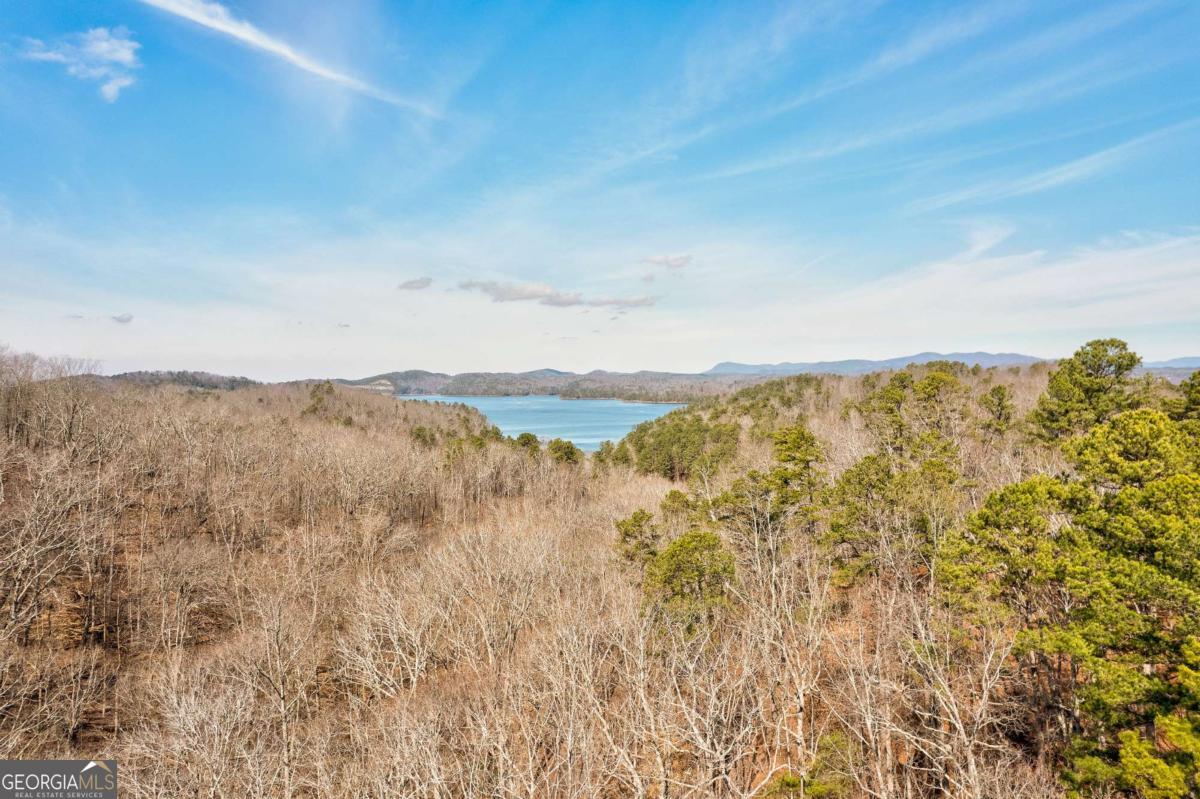 271 Zane Drive Ellijay GA 30540