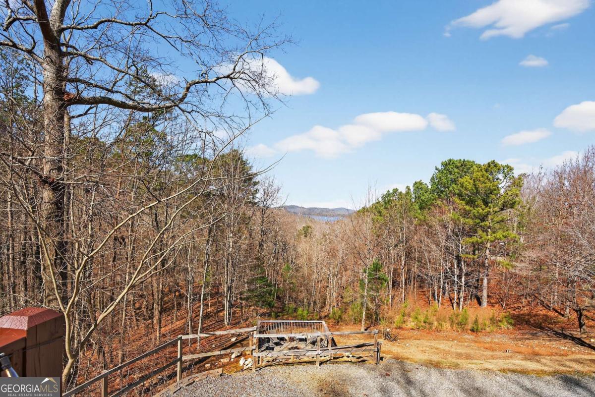 271 Zane Drive Ellijay GA 30540