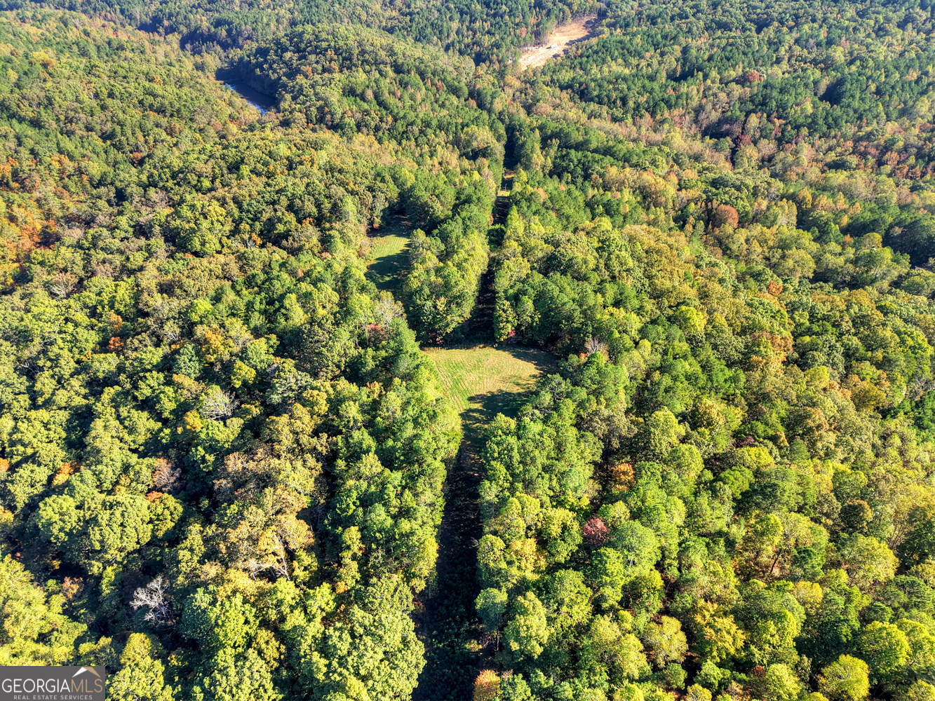 523 Long Branch Road Ranger GA 30734
