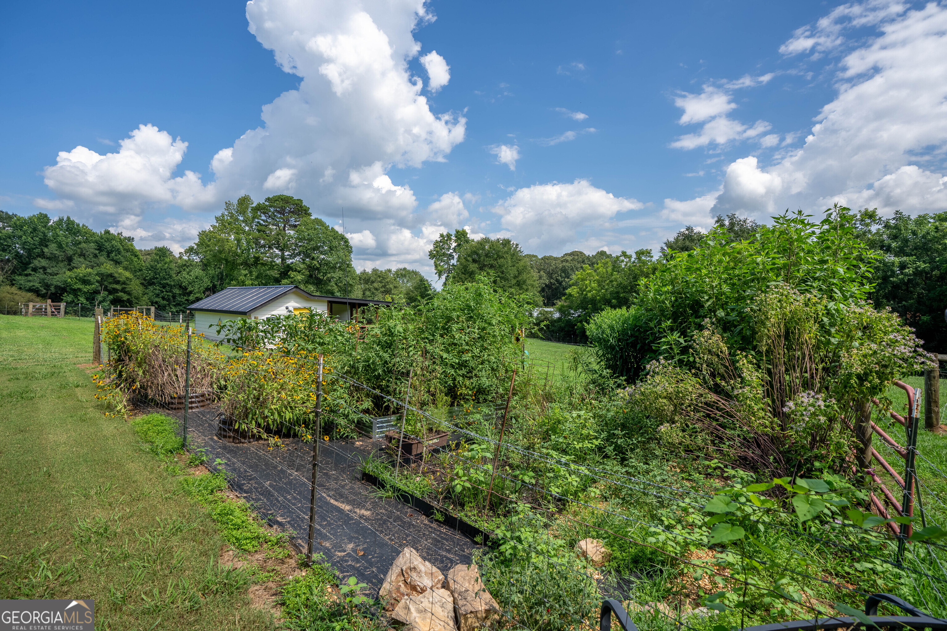 7625 W County Line Road Lula GA 30554