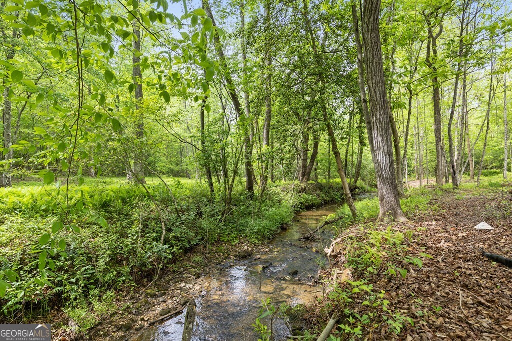 148 Brookwood Drive Blue Ridge GA 30513