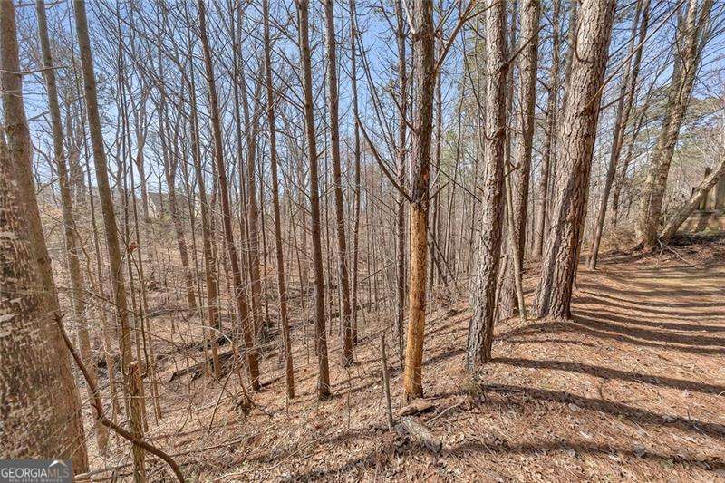 150 Hidden Lake Circle Canton GA 30114