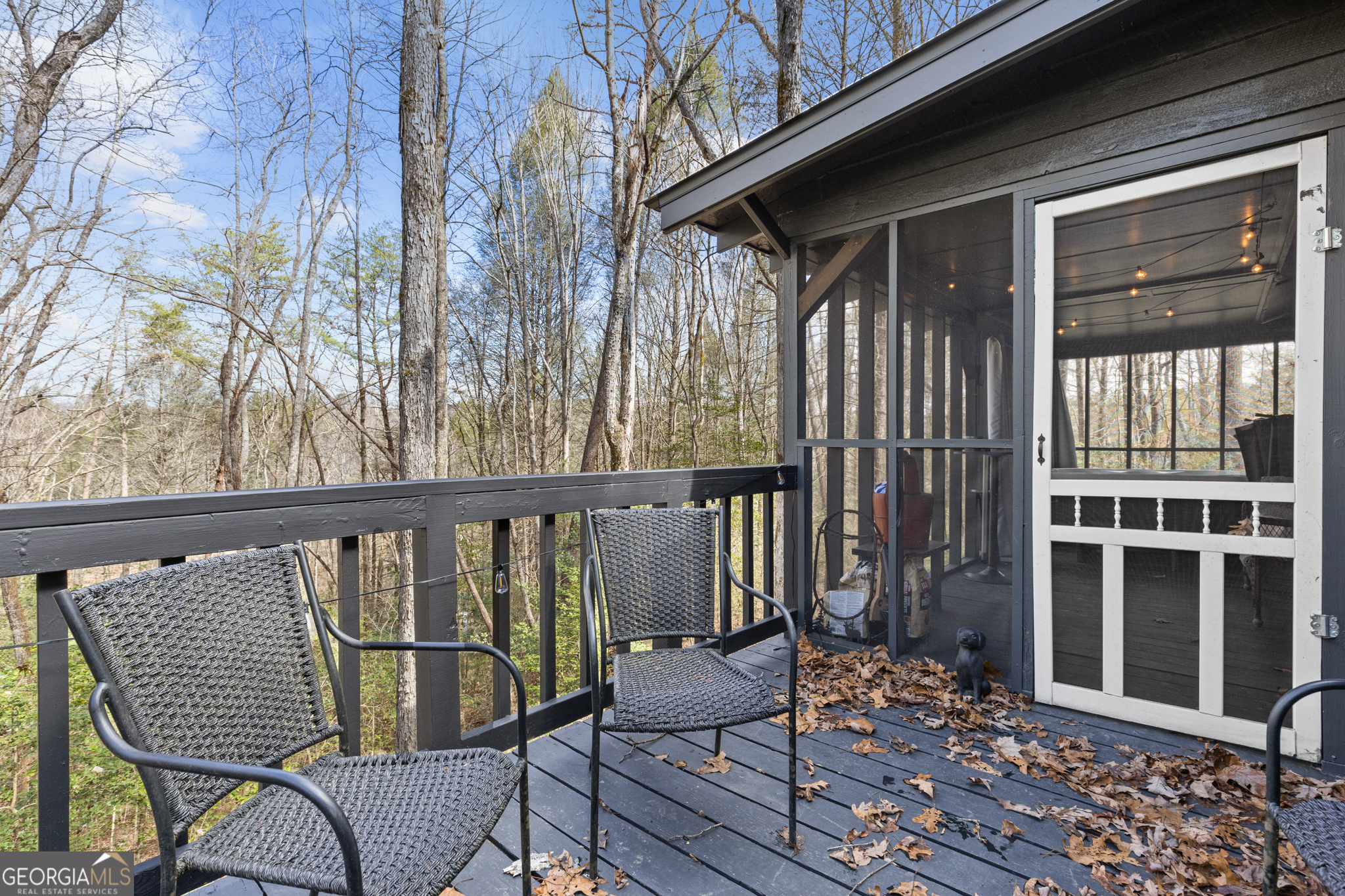 222 Icy Lane Blue Ridge GA 30513