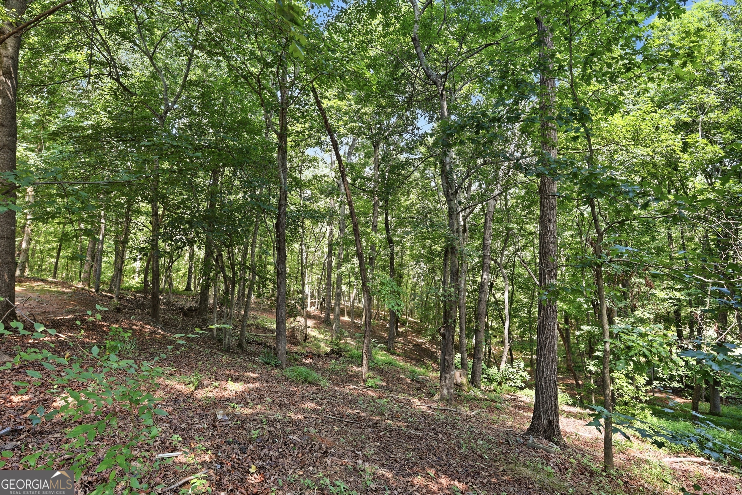 287 Laurel Place Drive Cornelia GA 30531