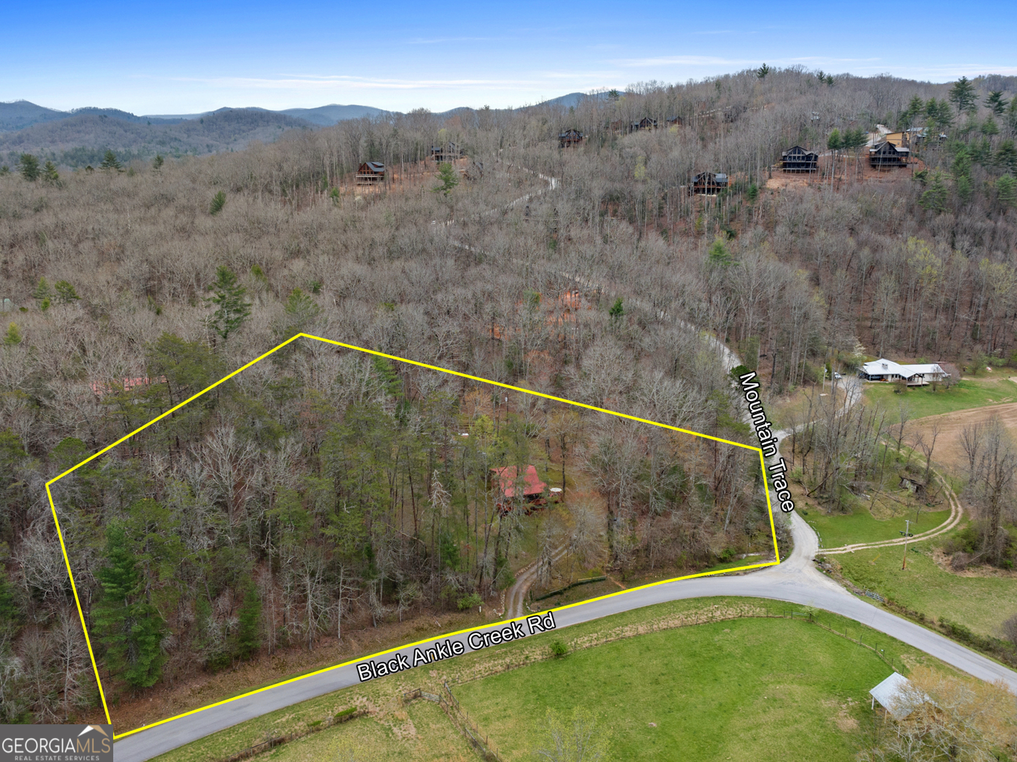 541 Black Ankle Creek Road Cherry Log GA 30522