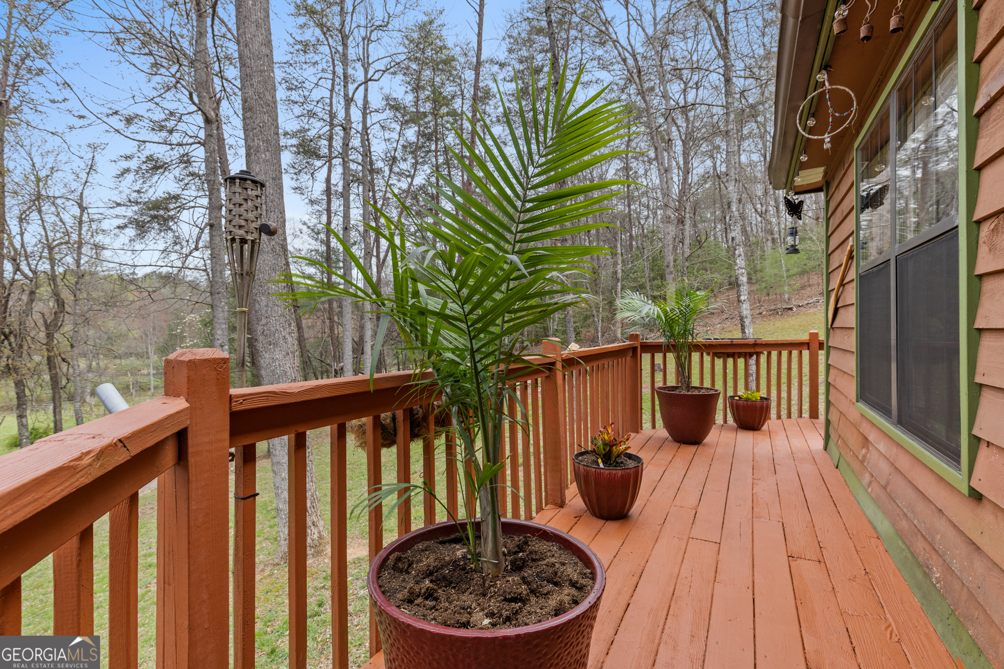 541 Black Ankle Creek Road Cherry Log GA 30522
