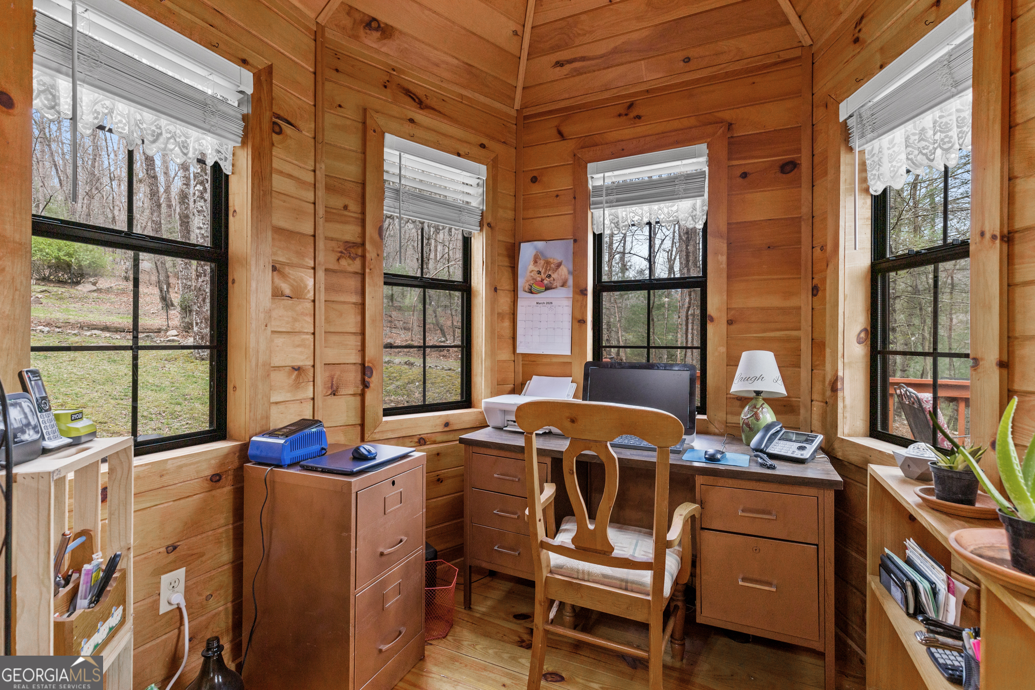 541 Black Ankle Creek Road Cherry Log GA 30522
