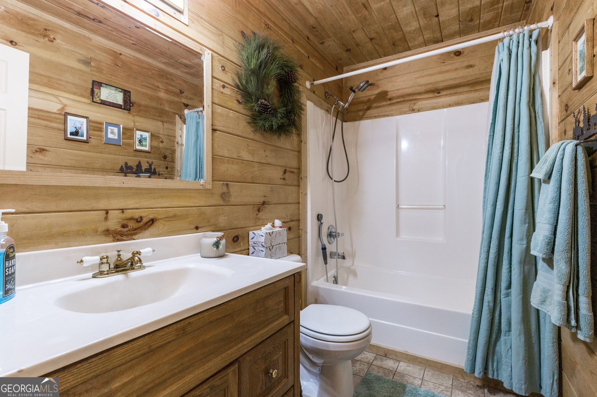 541 Black Ankle Creek Road Cherry Log GA 30522