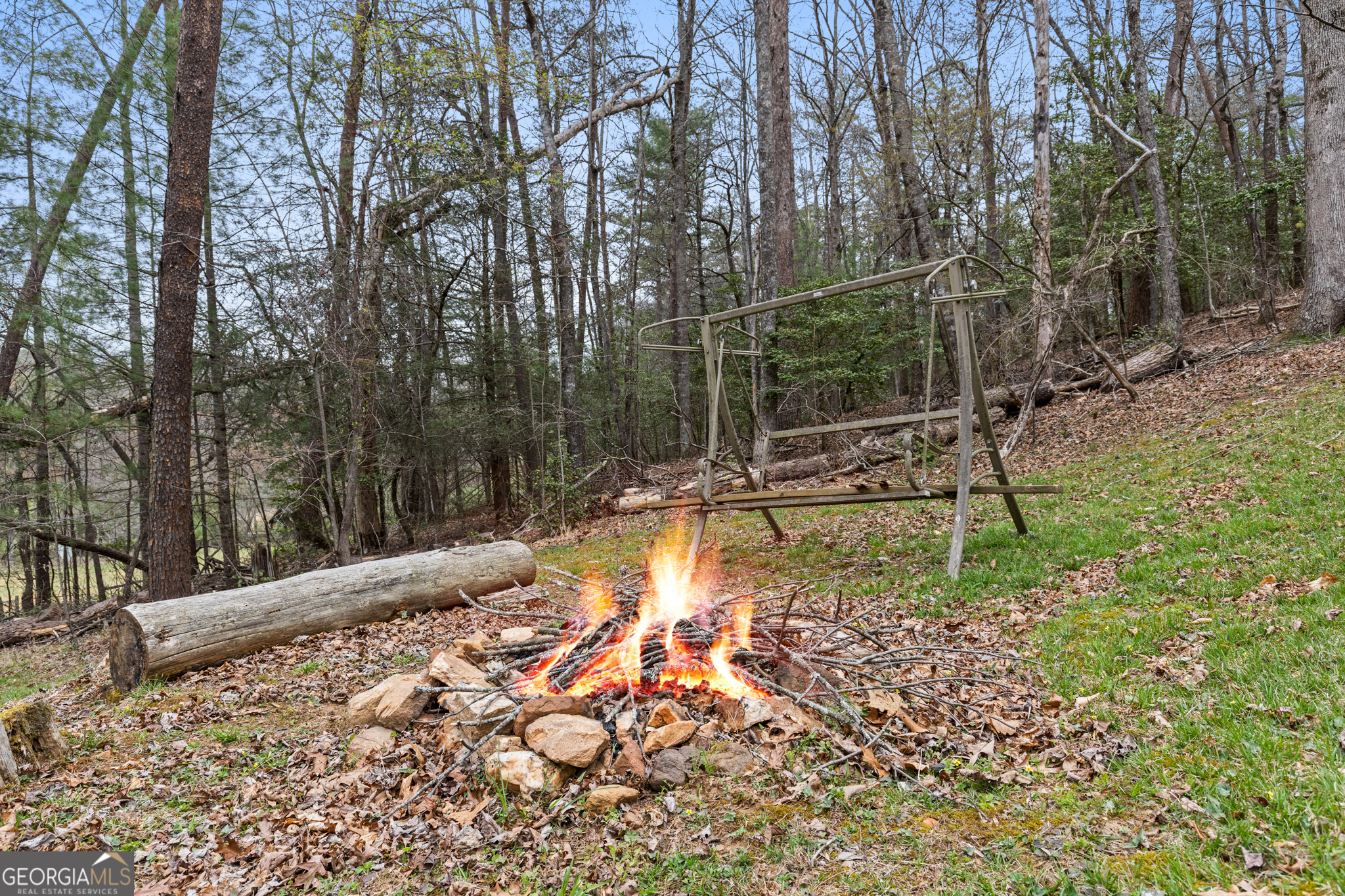 541 Black Ankle Creek Road Cherry Log GA 30522