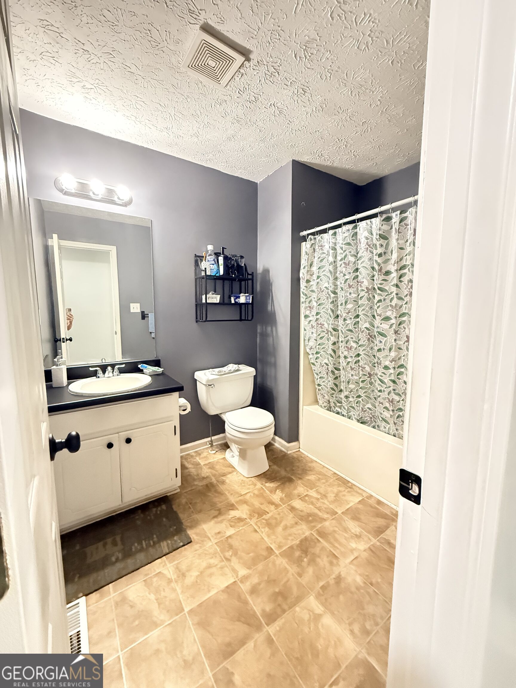4400 Leafview Drive Gillsville GA 30543