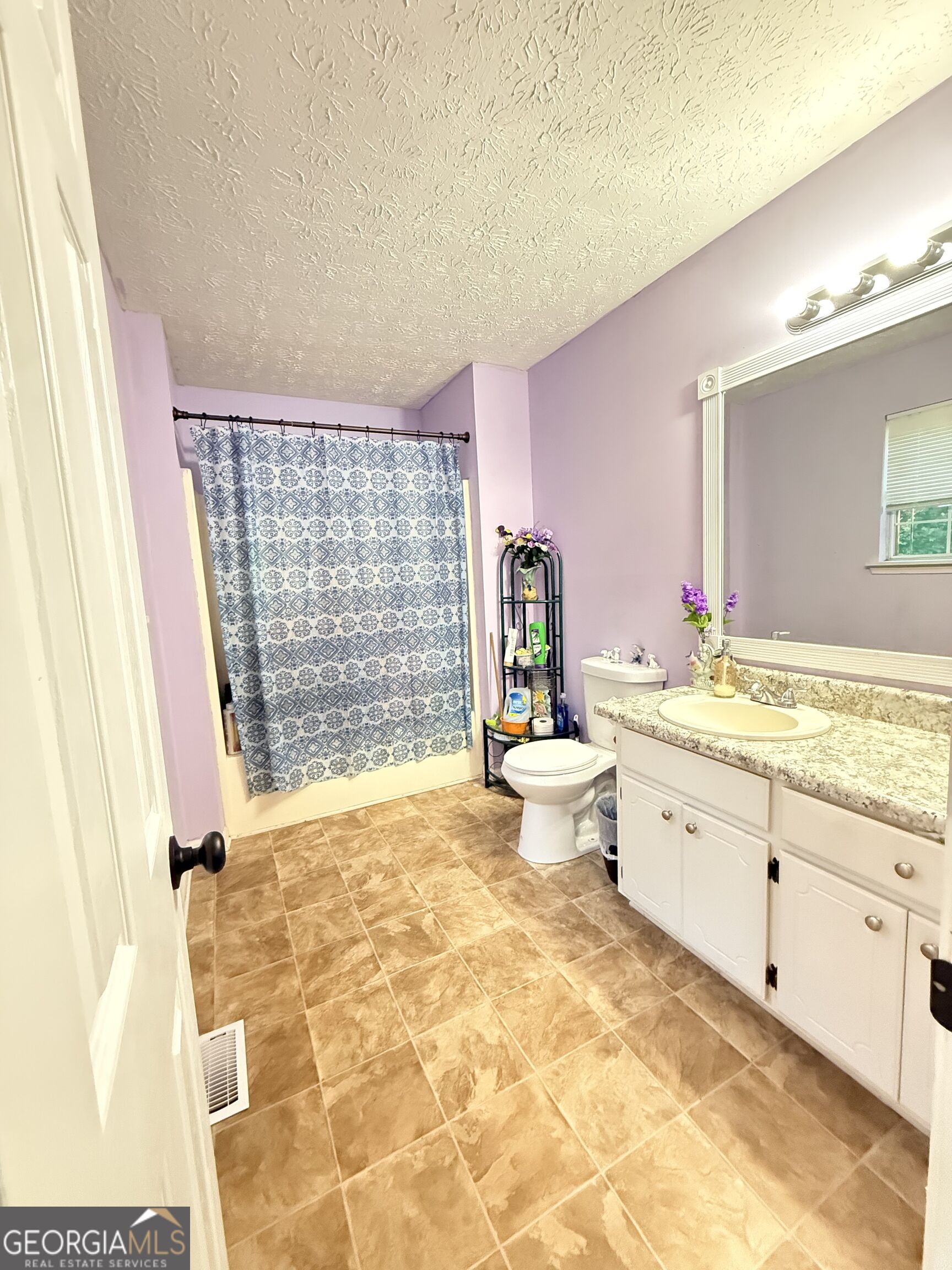 4400 Leafview Drive Gillsville GA 30543