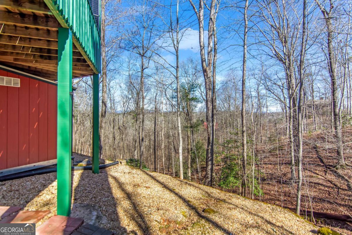 102 Mizzen Court Ellijay GA 30540