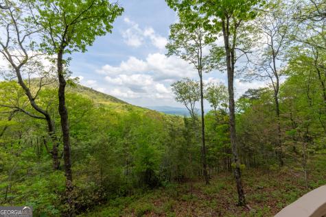24 Fern Creek Court Jasper GA 30143