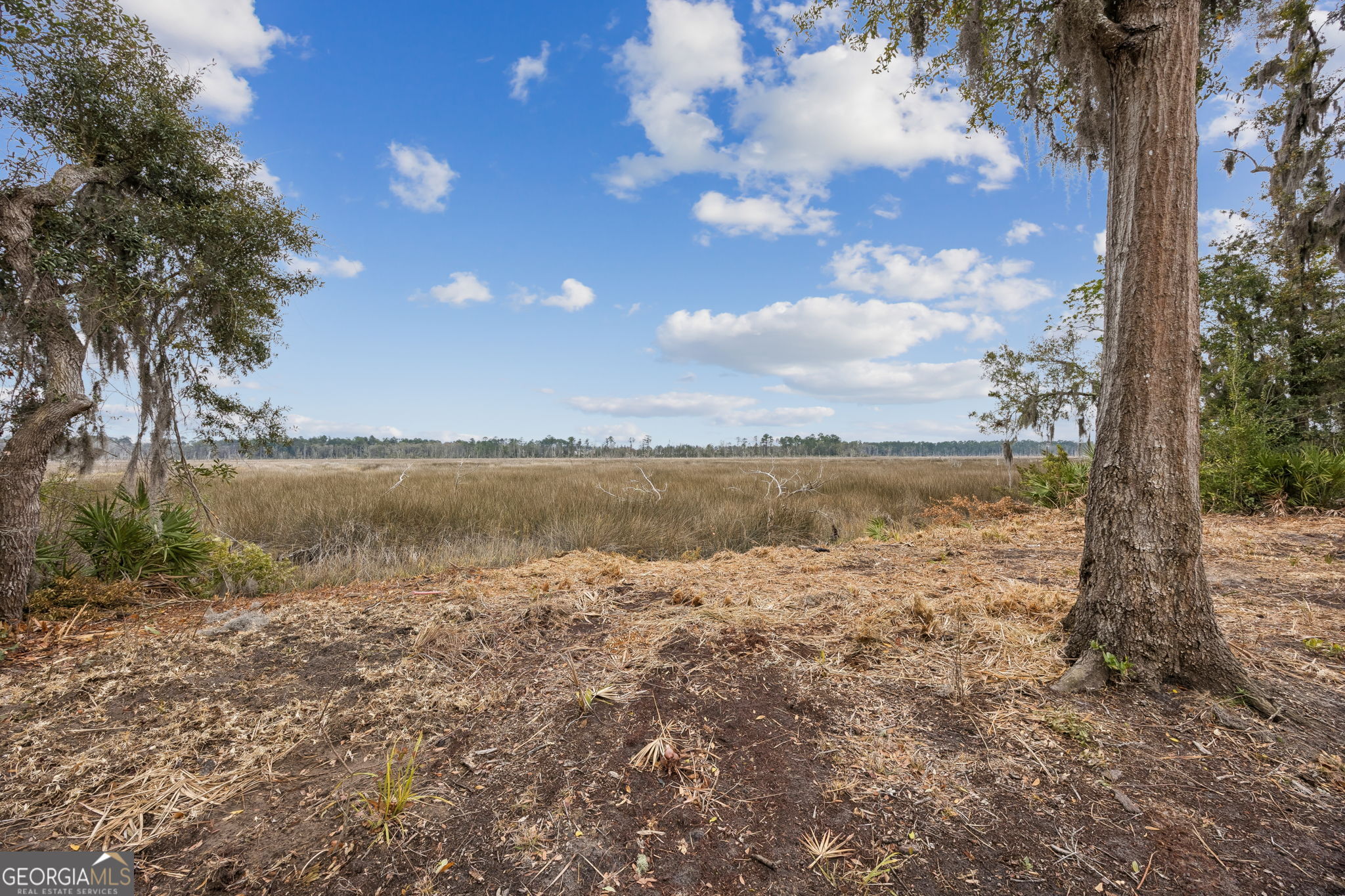 200 Carrington Court Kingsland GA 31548