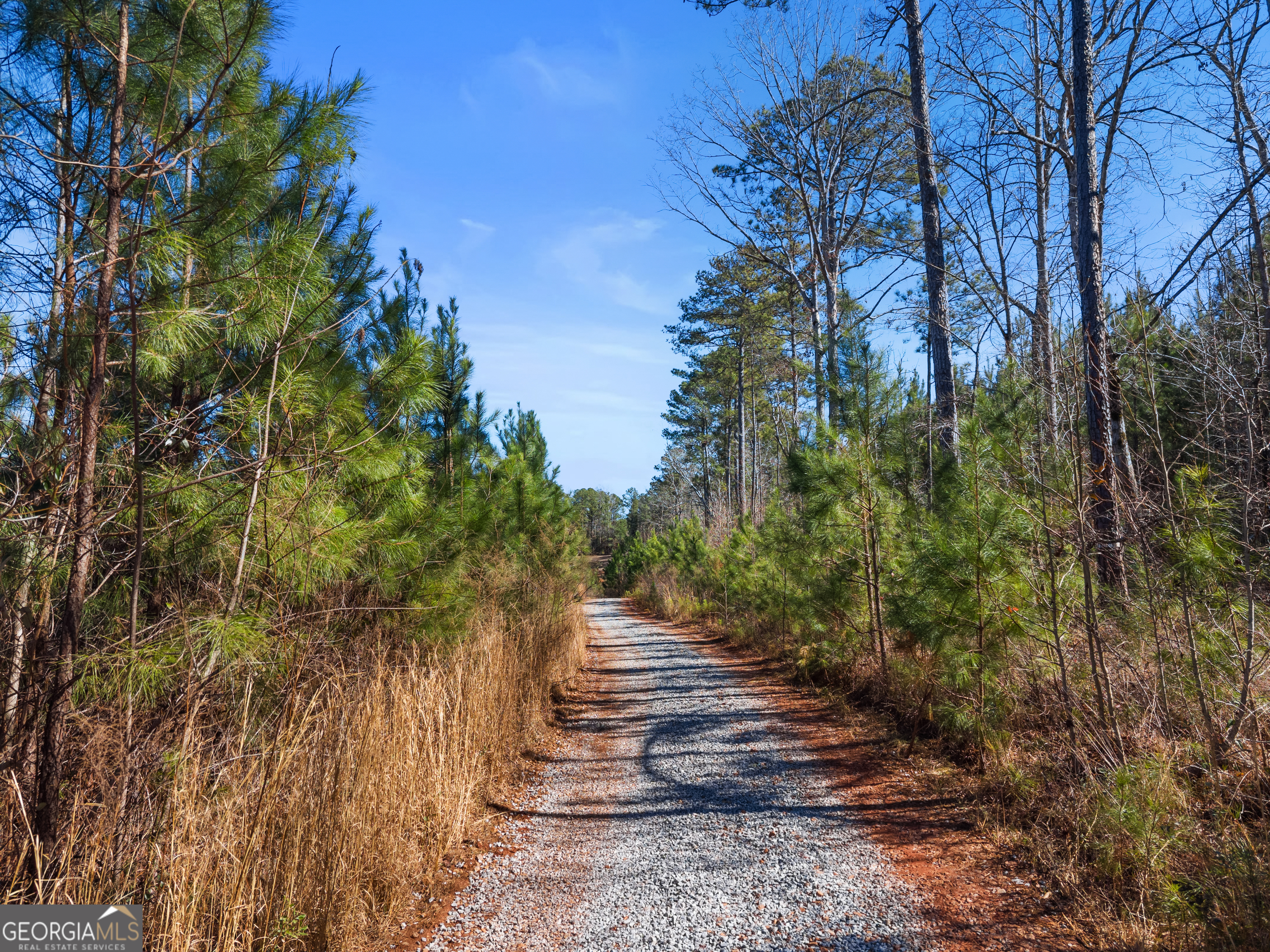 700 Ga Highway 87 Flovilla GA 30216