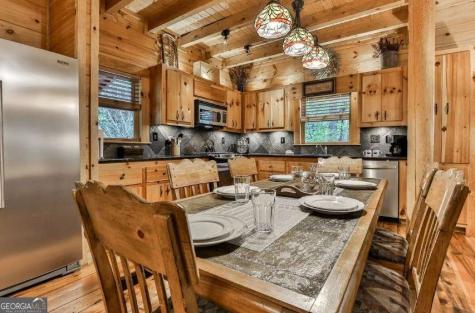 92 Fish Trap Road Mineral Bluff GA 30559