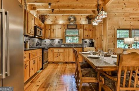 92 Fish Trap Road Mineral Bluff GA 30559